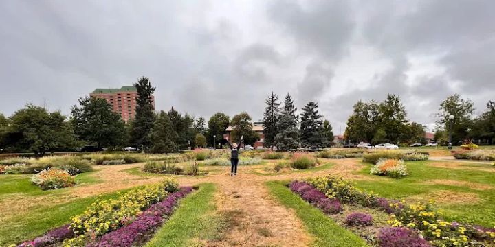 Alamo Placita Park