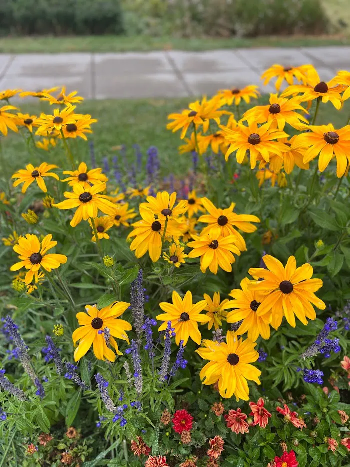 Alamo Placita Park 6