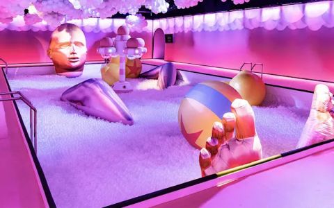 the bubble experience