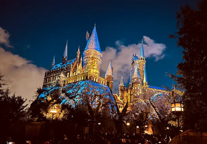 The Wizarding World of Harry Potter 1