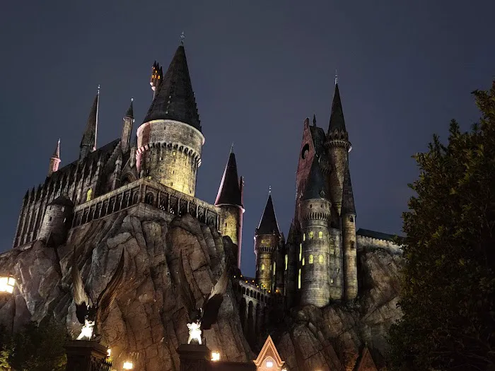 The Wizarding World of Harry Potter - Hogsmeade 5