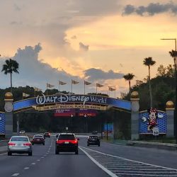 Walt Disney World® Resort ico