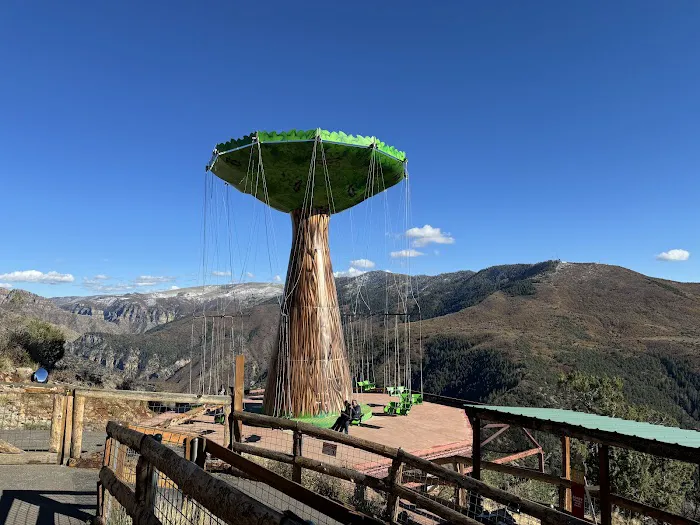 Glenwood Caverns Adventure Park 2