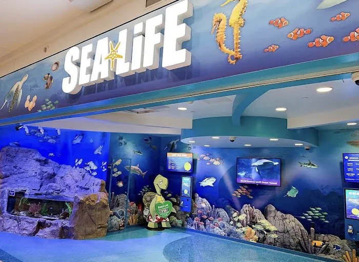 SEA LIFE at Mall of America 4