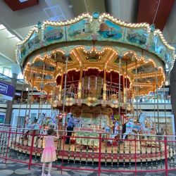 Island Carousel Inc ico