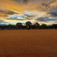 Bossen Field Park
