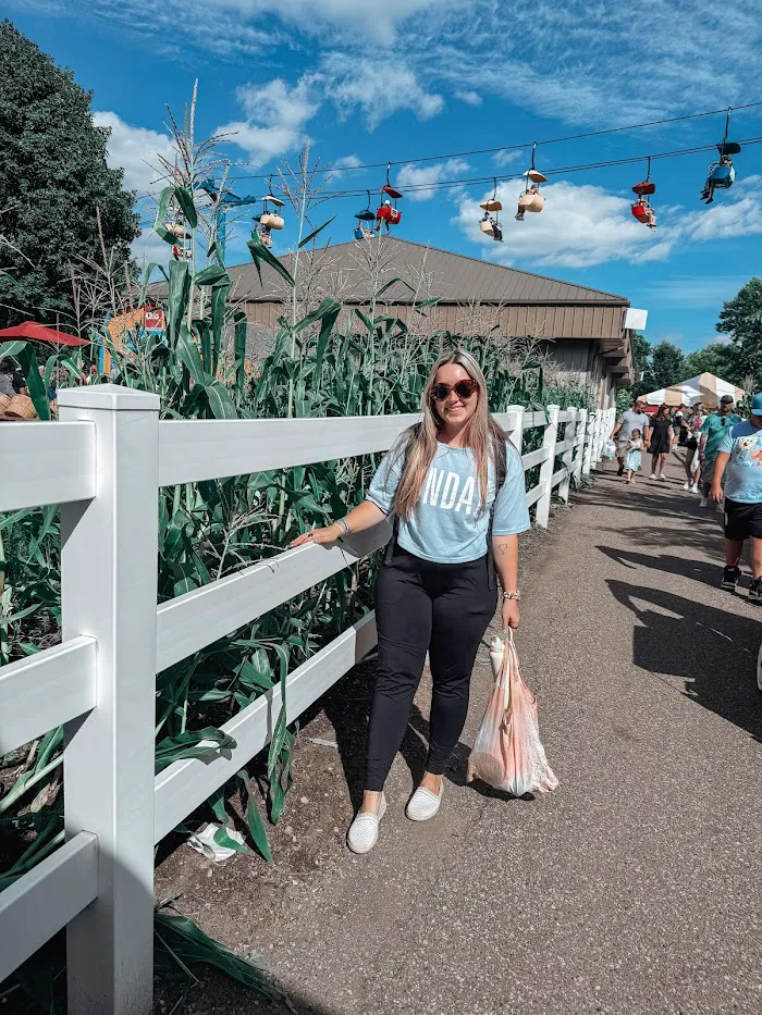 Minnesota State Fair Kidway 3