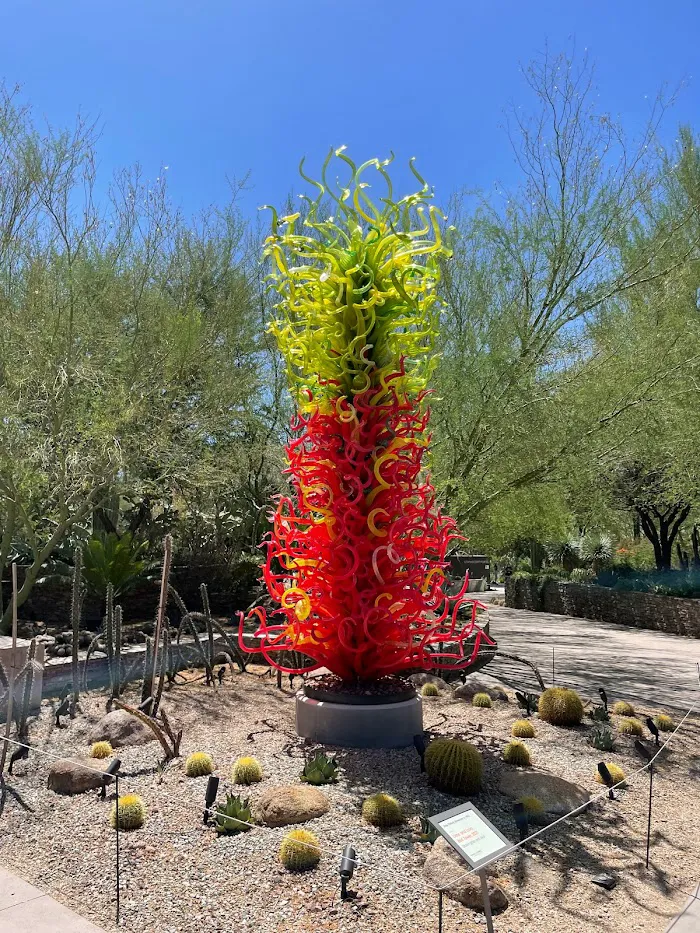 Desert Botanical Garden 0