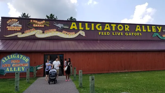 Alligator Alley Adventures 2