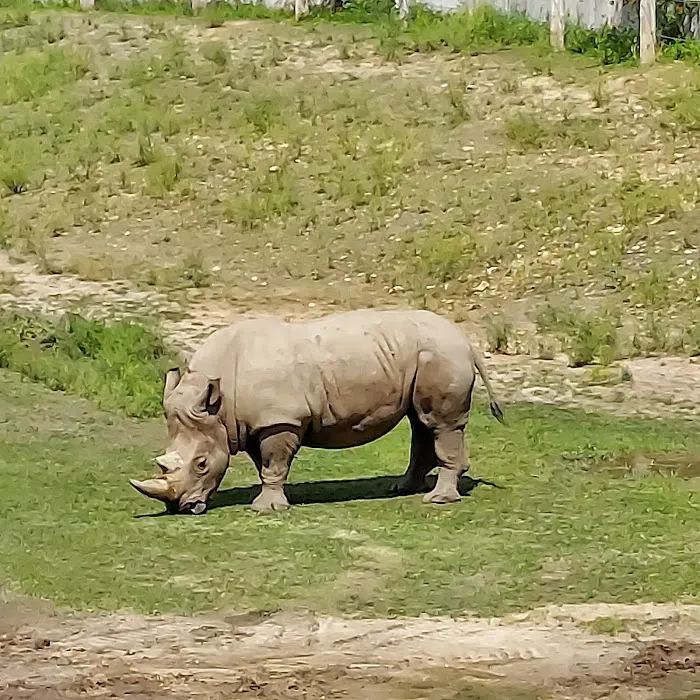 Timbavati Wildlife Park 2