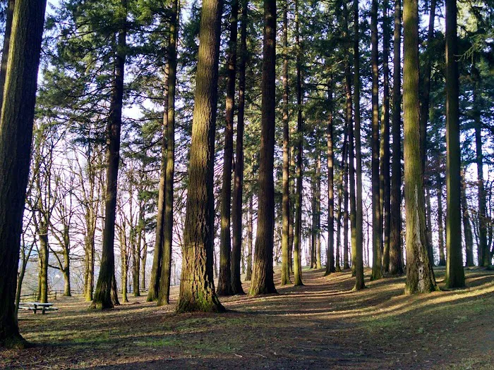 Sellwood Riverfront Park 3