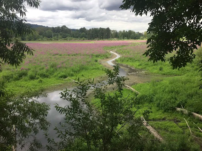 Oaks Bottom Wildlife Refuge 5