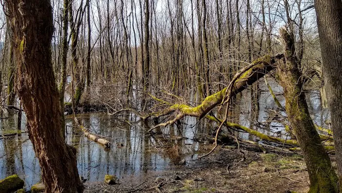 Oaks Bottom Wildlife Refuge 8