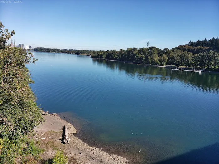 Sellwood Bridge 2