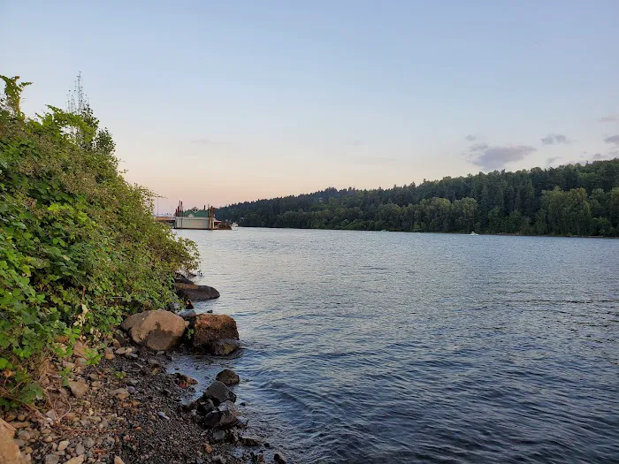 Sellwood Bridge 6