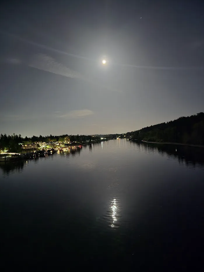 Sellwood Bridge 8