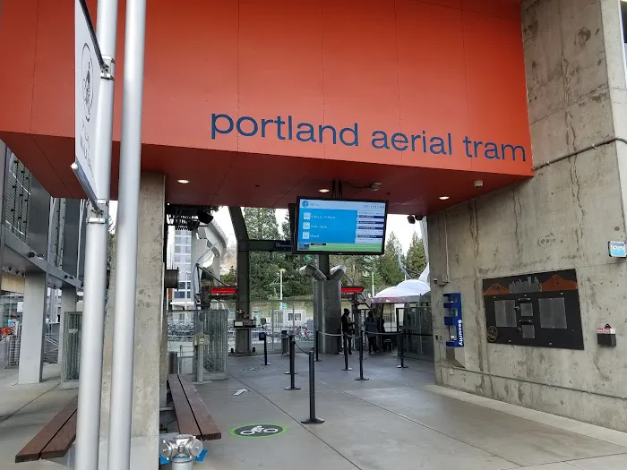 South Waterfront Lower Tram Terminal 3