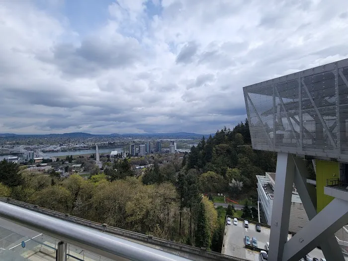 South Waterfront Lower Tram Terminal 2