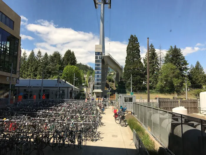 South Waterfront Lower Tram Terminal 7