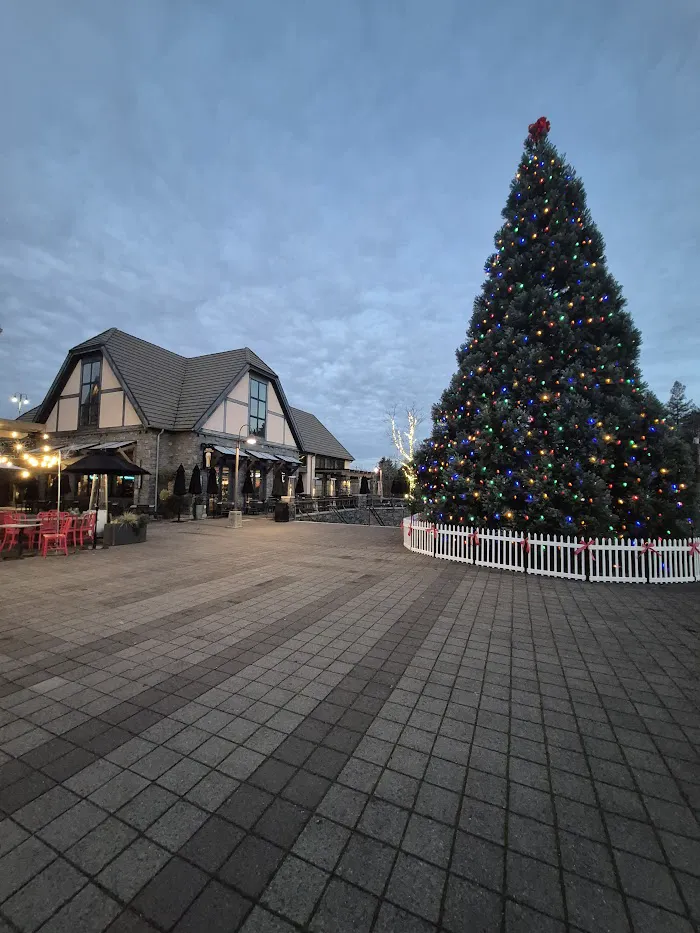 Millennium Plaza Park 8