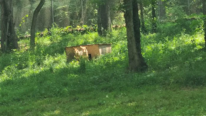 Endangered Wolf Center 0