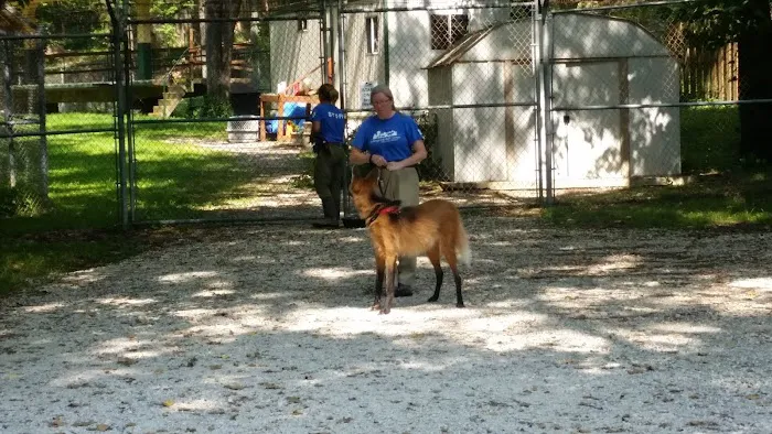 Endangered Wolf Center 1