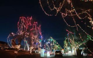 yogi bear campground st louis missouri