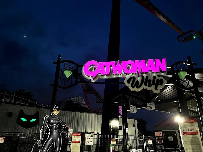 Catwoman Whip 0