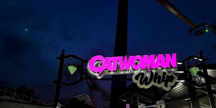 Catwoman Whip