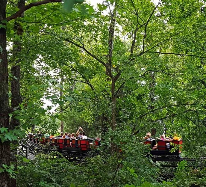 River King Mine Train 8