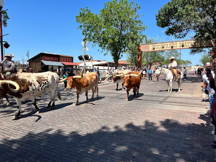 Cowtown Cattlepen Maze 0