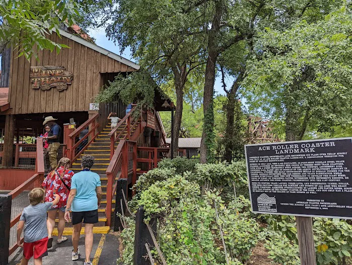 Runaway Mine Train 9