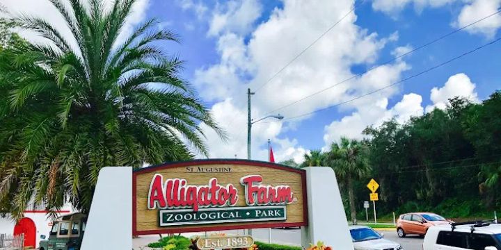 St. Augustine Alligator Farm Zoological Park