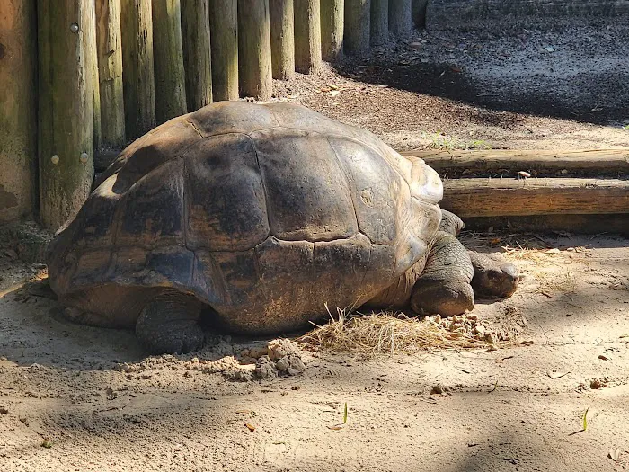 St. Augustine Alligator Farm Zoological Park 6