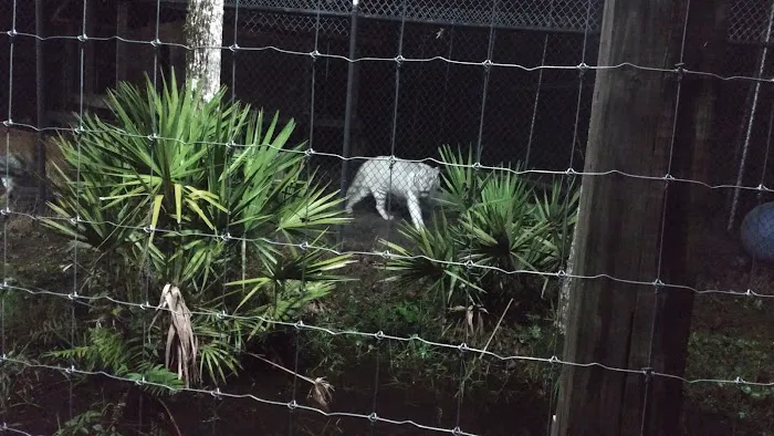 The Catty Shack Ranch Wildlife Sanctuary 7