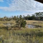 Castaway Island Preserve