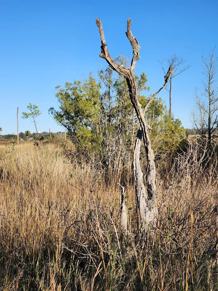 Castaway Island Preserve 5