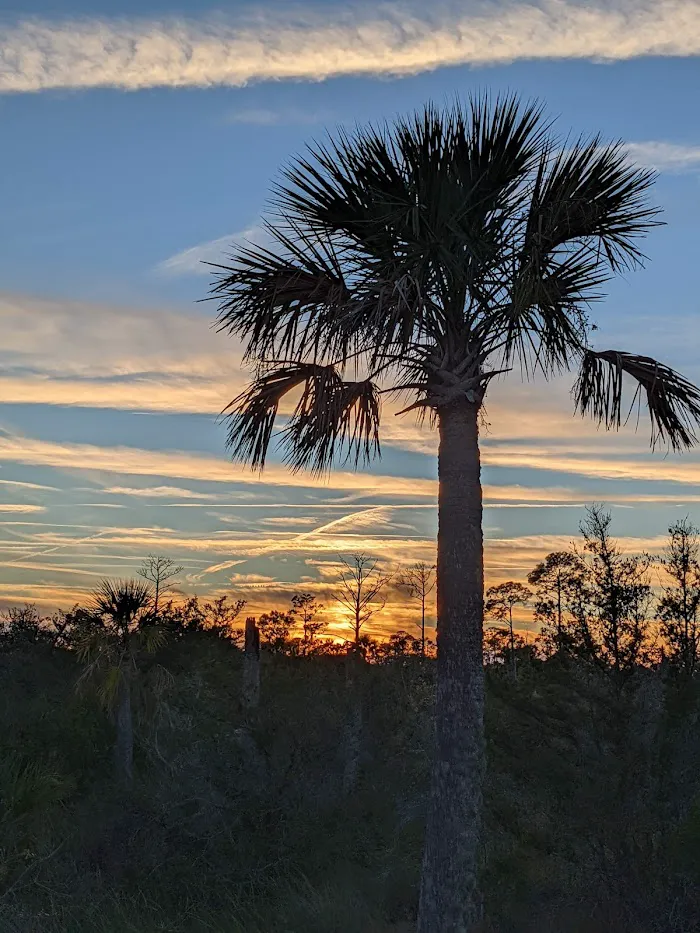 Castaway Island Preserve 2