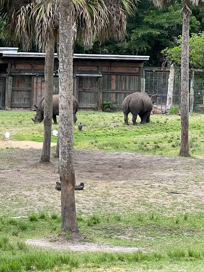 Jacksonville Zoo and Gardens 3