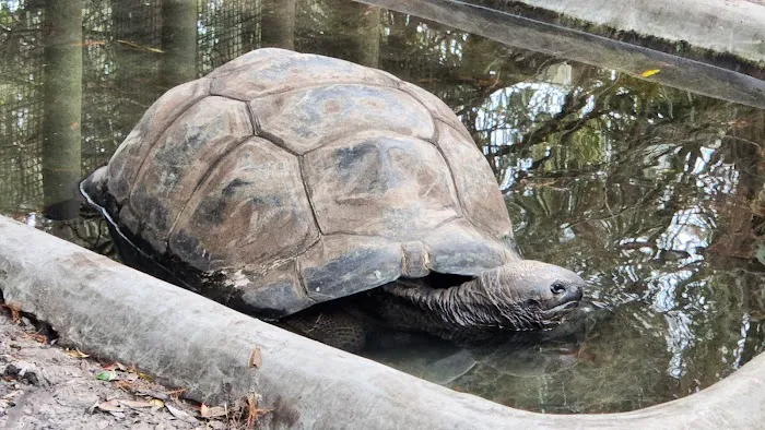 Jacksonville Zoo and Gardens 5