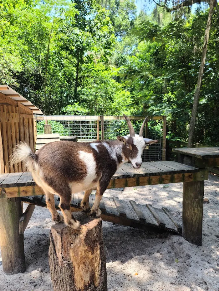 Tree Hill Nature Center 0