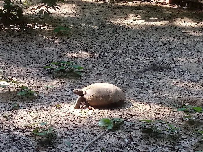 Tree Hill Nature Center 2