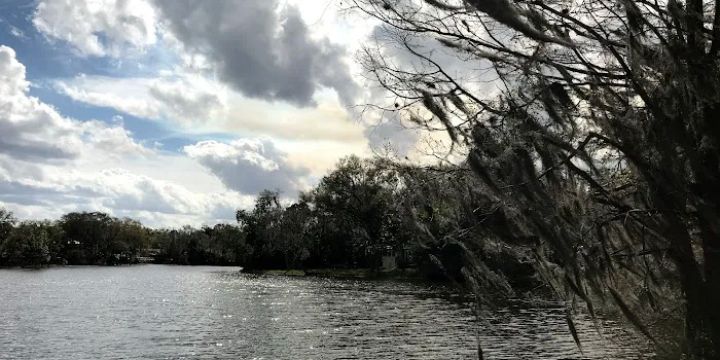 Bird Island