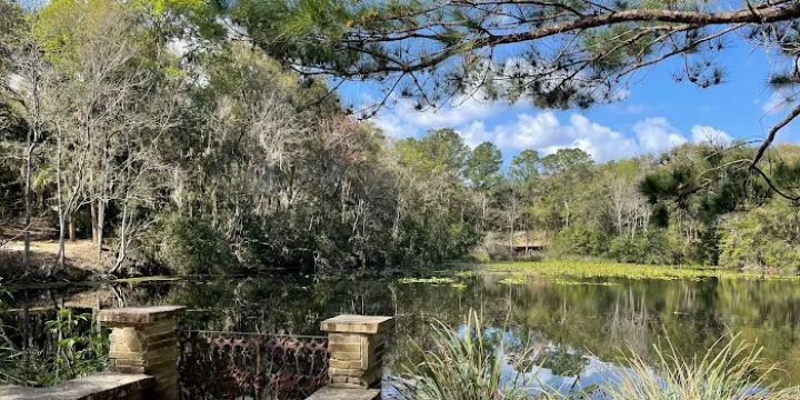 Jacksonville Arboretum & Botanical Gardens