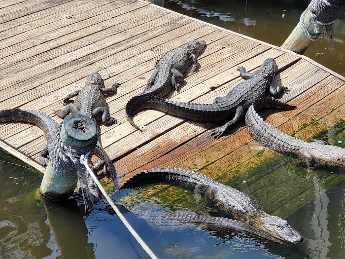 Adventure Landing Jacksonville Beach 4