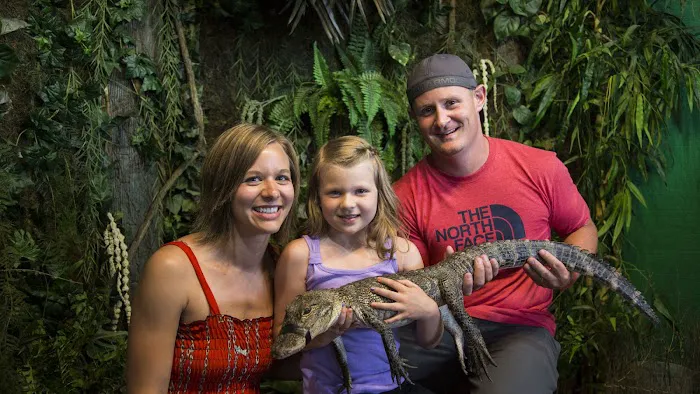 Gator Beach - The World's Greatest Alligator Park 0