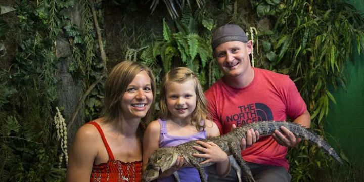 Gator Beach - The World's Greatest Alligator Park