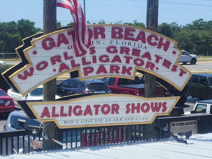 Gator Beach - The World's Greatest Alligator Park 1