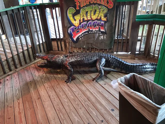 Gator Beach - The World's Greatest Alligator Park 3