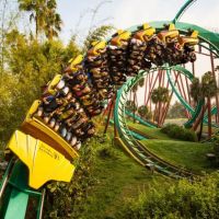 Orlando Ticket Connection